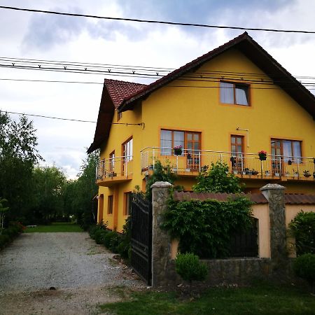 Pensiunea Ramona Cărpinişu Eksteriør billede
