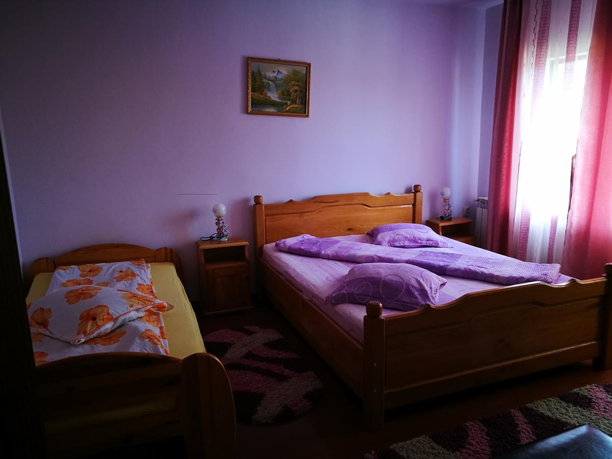 Pensiunea Ramona Cărpinişu Eksteriør billede
