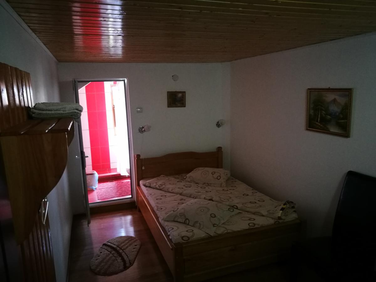 Pensiunea Ramona Cărpinişu Eksteriør billede