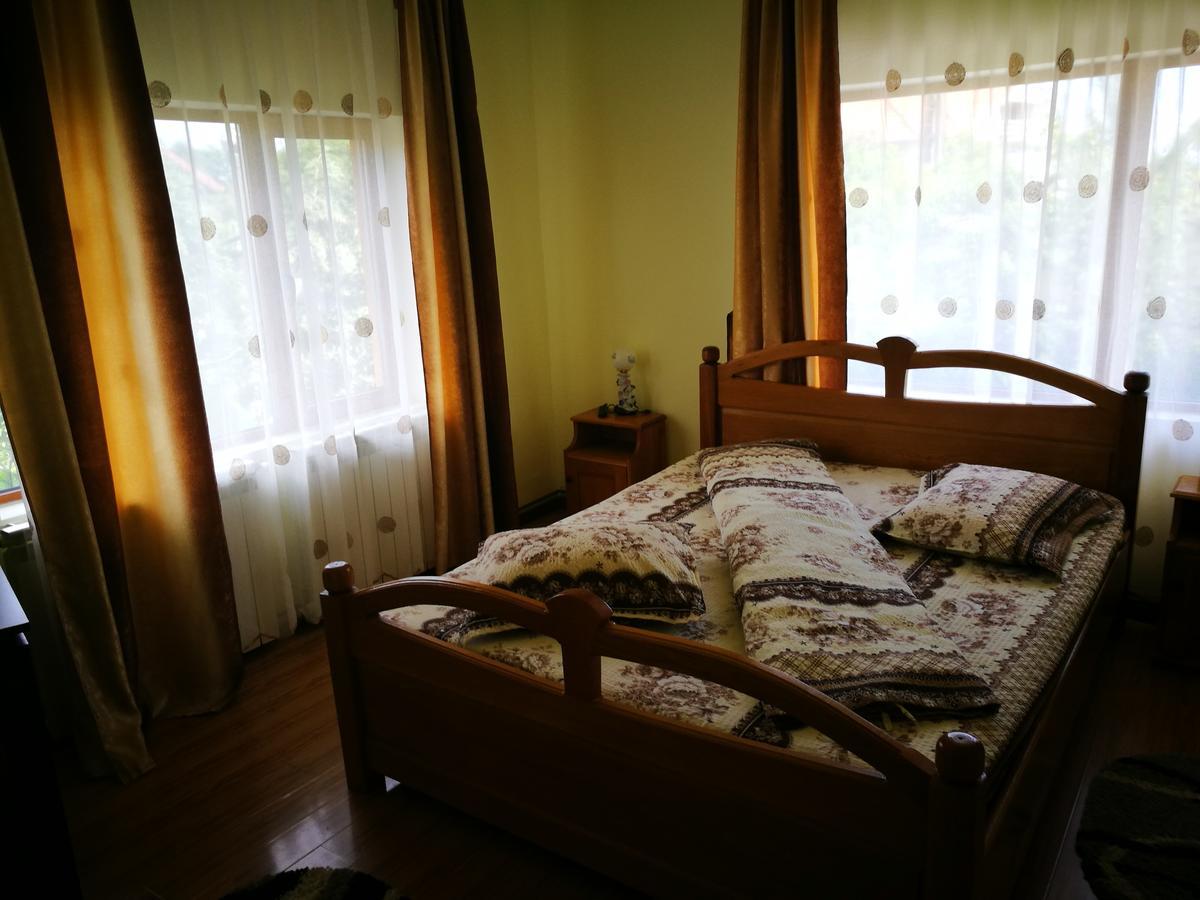 Pensiunea Ramona Cărpinişu Eksteriør billede